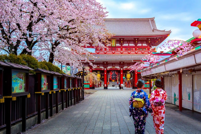 Du lịch Nhật Bản mùa lễ hội tháng 3 ngắm hoa anh đào