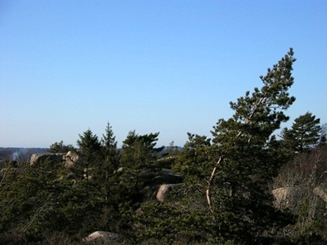 7 tall
