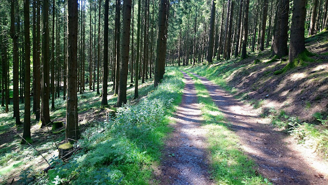 Sauerland wandern Wetter blog Schmallenberg Hunau