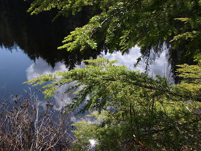 Pine and Cedar Lake Hike