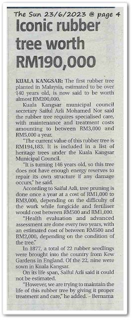 Iconic rubber tree worth RM190,000 - Keratan akhbar The Sun 23 June 2023