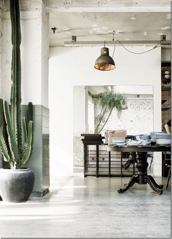 case e interni-tendenza cactus-piante grasse-1