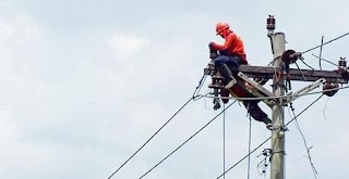 Kenapa Burung tidak terkena setrum saat bertengger diatas Kabel Listrik? Ini alasannya