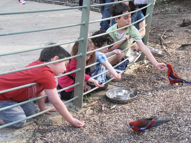 Feeding the birds at Grants on Sherbrook