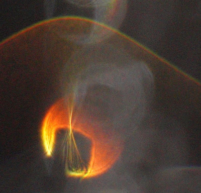 orange orb veil