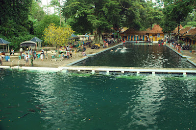 Kolam Renang Cibulan Berenang Bersama Ikan Dewa Ayo Renang