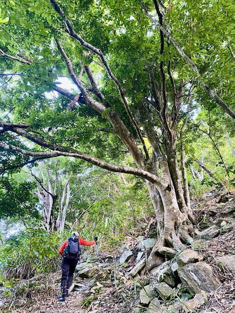 陡上往岩石區