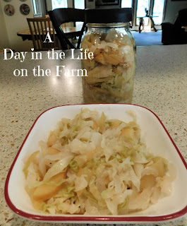 Pickled Cabbage