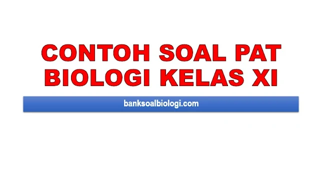 Contoh Soal PAT Biologi SMA Kelas XI Tahun 2020