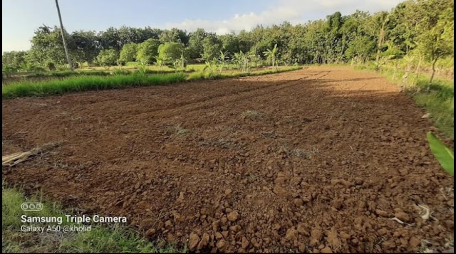 PROPERTI | Dijual Tanah Perkebunan di Samaran,Rembang