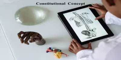 constitution