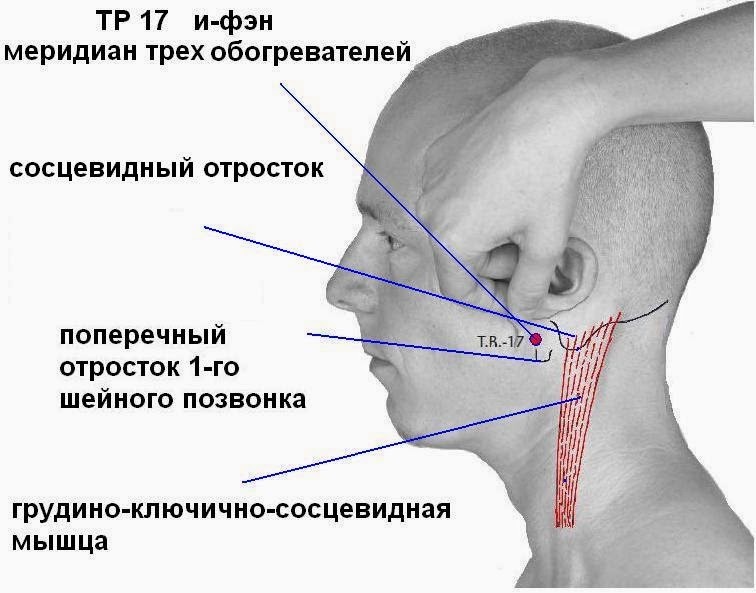 Утолщение слизистой сосцевидного отростка