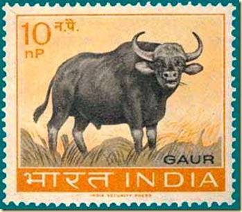 Gaur stamp