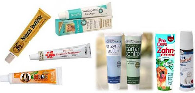 ingredients to avoid in dog and cat toothpaste