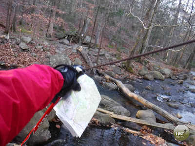 Intentando cruzar Pine Meadow Creek en Harriman State Park