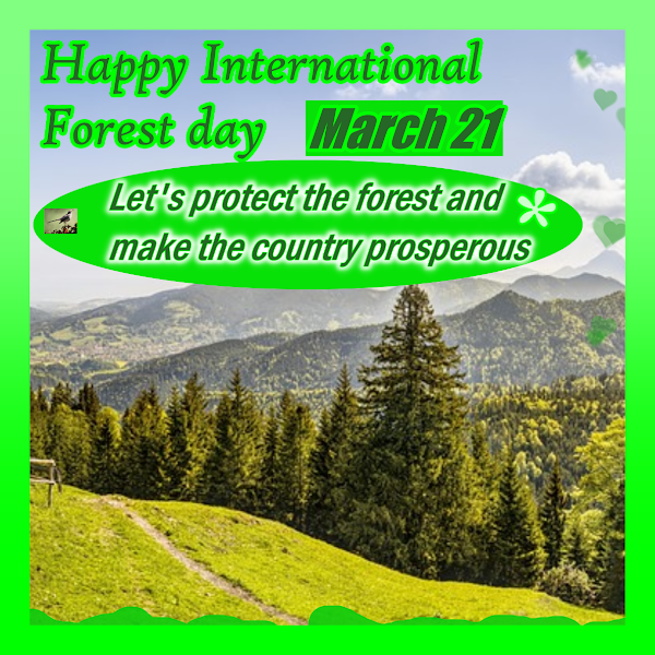 Happy International Forest day - March 21