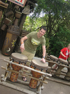 animal kingdom drums 