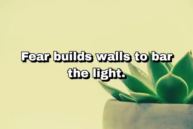 "Fear builds walls to bar the light." ~ Baal Shem Tov