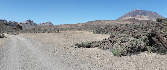 GR-131 TRAMO 5 EL PORTILLO - CENTRO DE VISITANTES (S-4 Siete Cañadas) A DEGOLLADA DE GUAJARA (S-5), pista Siete Cañadas, Cañada del Risco Verde