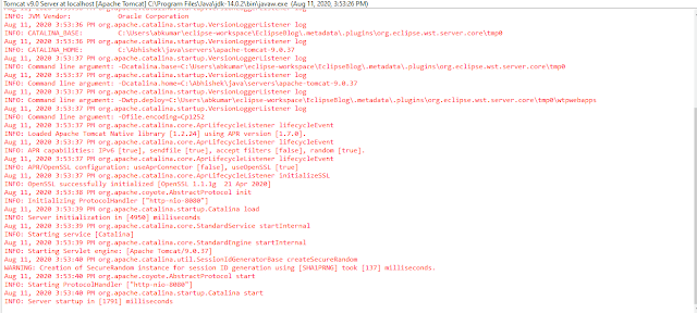 Apache Tomcat Server Logs