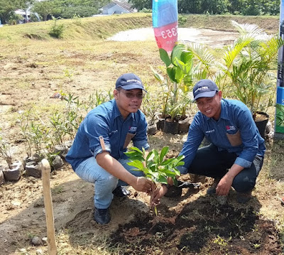 prosesi penanaman pertama pohon buah di siranda view