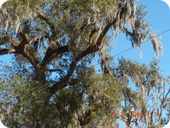 DSCN4139