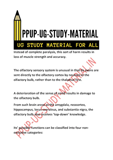 Structure and Function of Brain | ppup part 1 psychology subsidiary ug study material download pdf