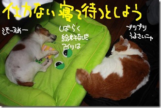 今日カズFinal 6
