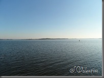 SAM_2061