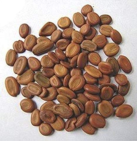 Below Are The Various Benefits Of Different Seeds That Are