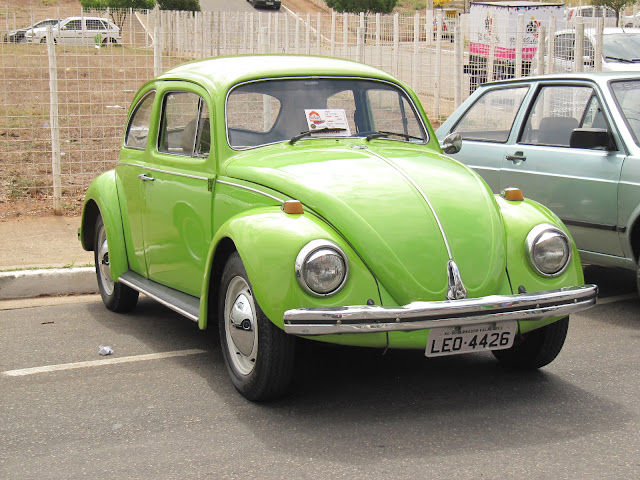 VERDE LEO 4426