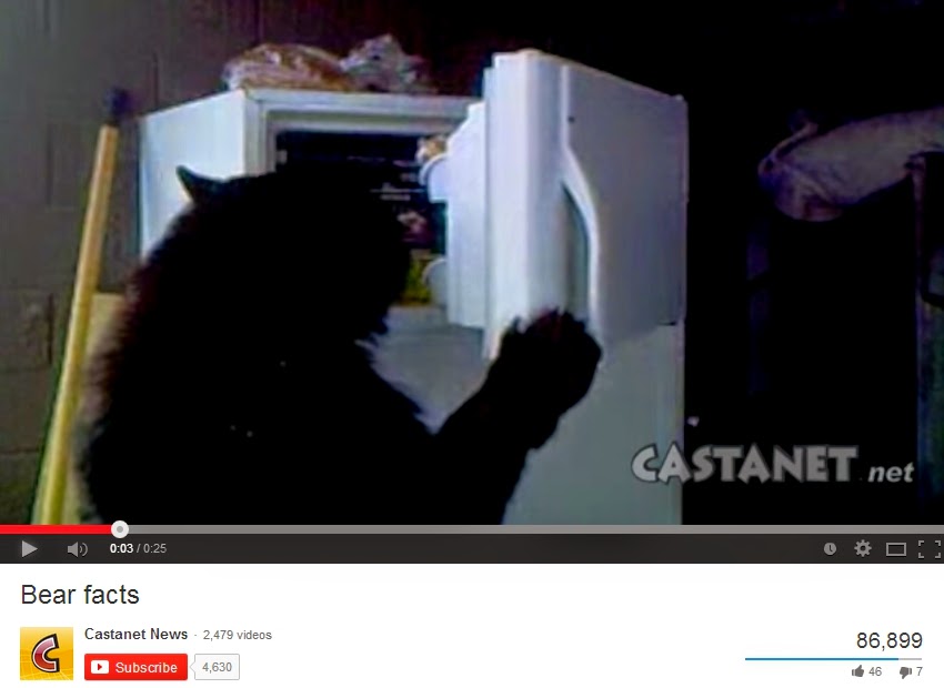 A Bear Caught On Video Opening The Refrigerator.