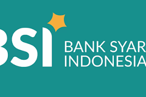 Transfer Pembayaran Google AdSense ke BSI Gagal, Bank BNI Lancar