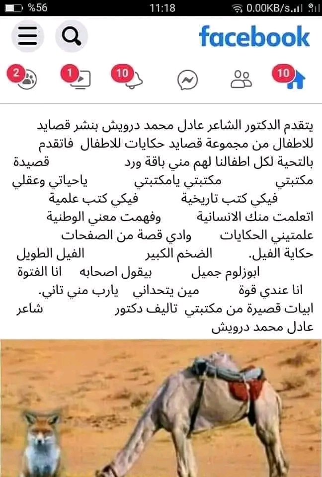 صورة
