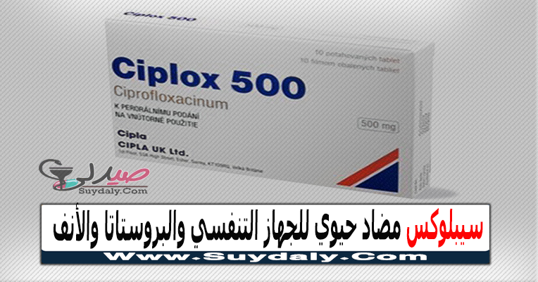 سيبلوكس Ciplox مضاد حيوي لعدوى الجيوب الأنفية والبروستاتا السعر والبديل