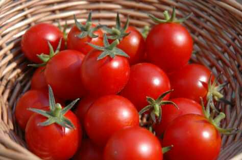 Tomatoes – Natural remedy for good vision || www.ayooghana.com
