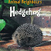 Obtenir le résultat Hedgehog Livre