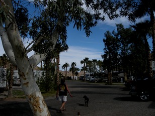 nice park