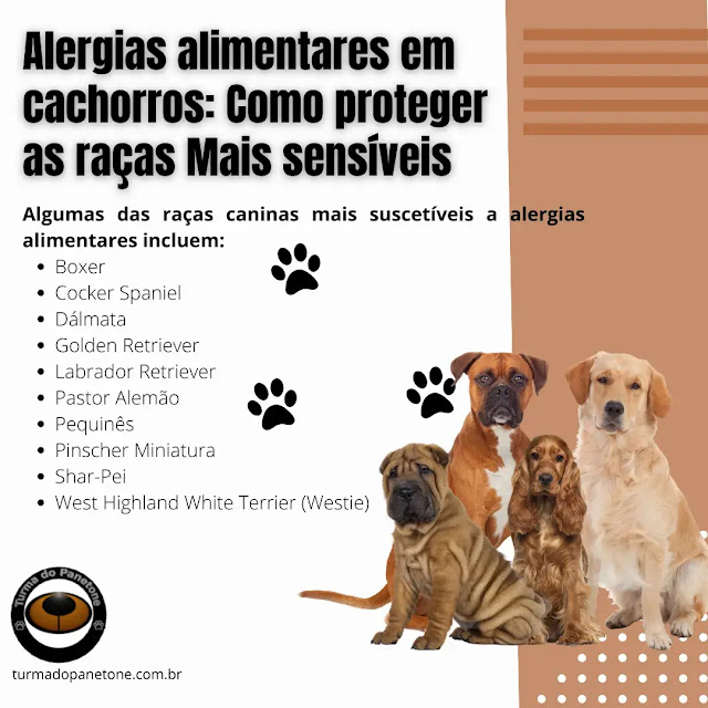 Alergias alimentares em cachorros: Como proteger as raças Mais sensíveis