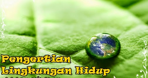 Pengertian dan Komponen Lingkungan Hidup