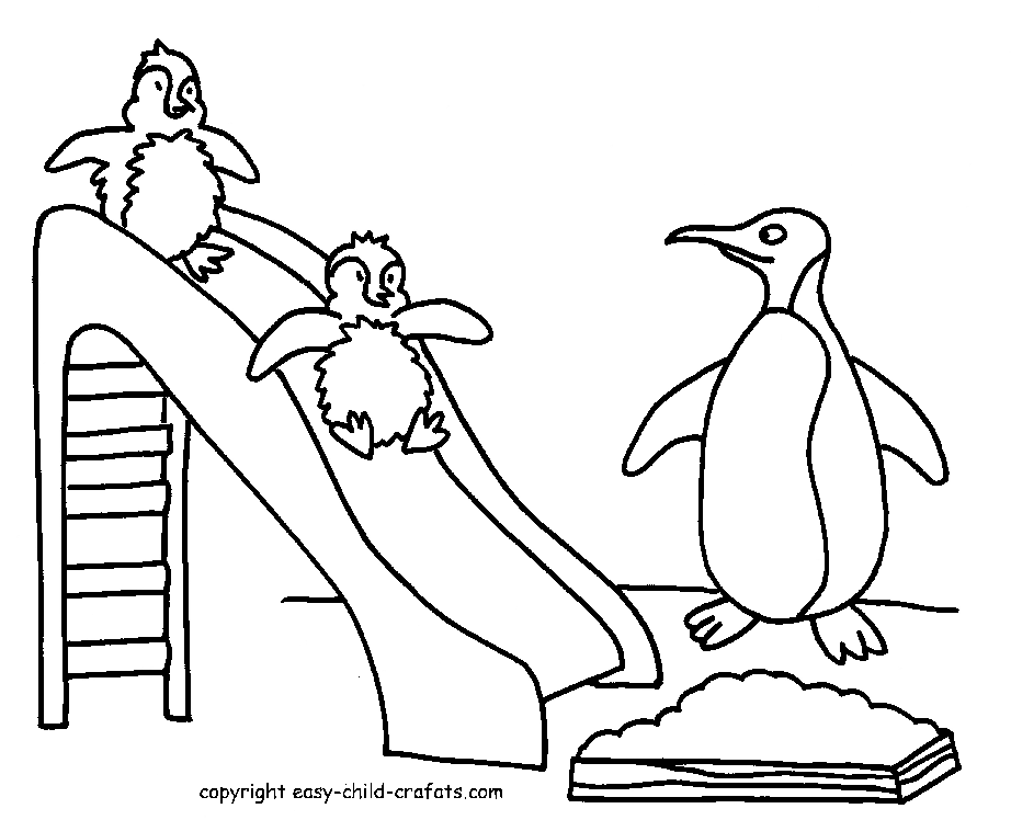 Funny Penguin Coloring Pages Collections 2011