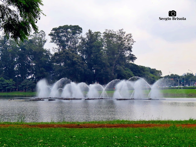 Close-up da Fonte do Parque Ibirapuera - Vila Mariana - São Paulo