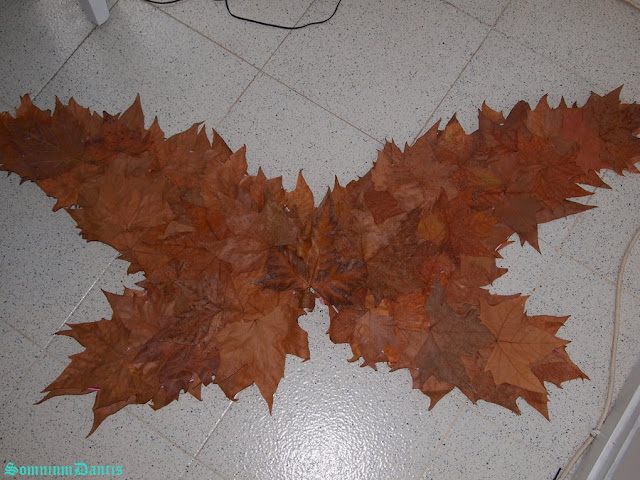 Autumn Fairy Wings4