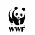 Job Opportunity at WWF, Blue Action Fund (BAF) Project Lead 