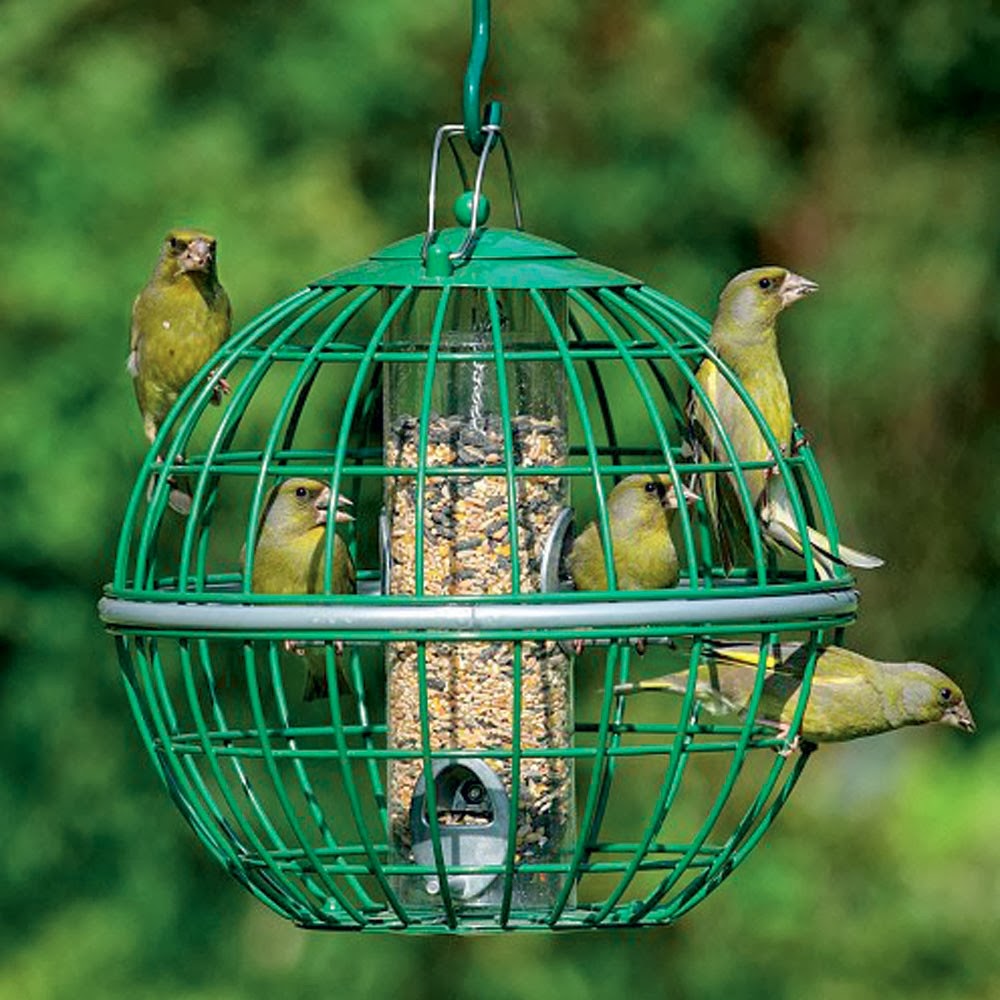 Bird Feeder Tempat Makan Burung Unik obat serangga kecoa 