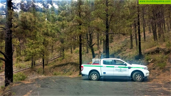 El Cabildo declara la emergencia de las obras para la adecuación de la pista forestal Fran Santana