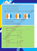 sets-and-functions-mathematics-class-10th-text-book