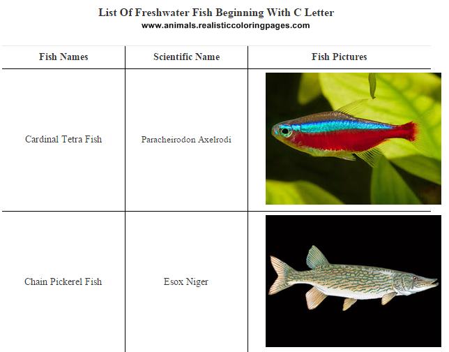 List Of Freshwater Fish Beginning With C