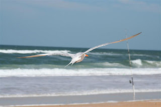 beverly beach florida