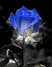 Blue Roses: I play the piano